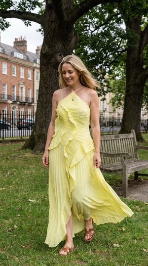 Rosalie Ruffle Muse Maxi Dress