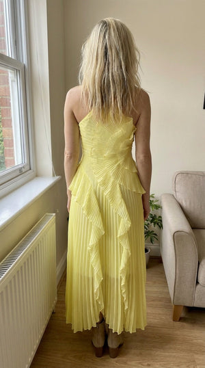 Rosalie Ruffle Muse Maxi Dress